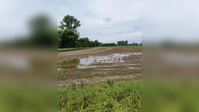 Landwirte können ab sofort Entschädigungen aus der Soforthilfe Hochwasser 2024 beantragen. (Foto: Sabine Weindl/AELF FFB)