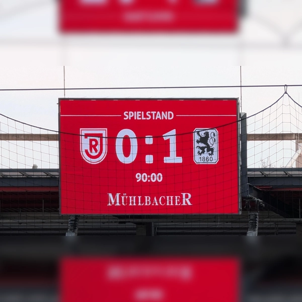 Glückliches Ende: die Löwen in Regensburg.  (Foto: M. Forster)