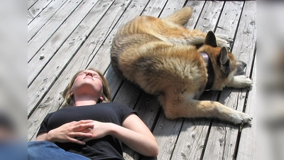 Gemeinsames Sonnenbad. In den heißen Mittags- und Nachmittagsstunden sollten sich Hund und Mensch in den Schatten zurückziehen. (Foto: dek)