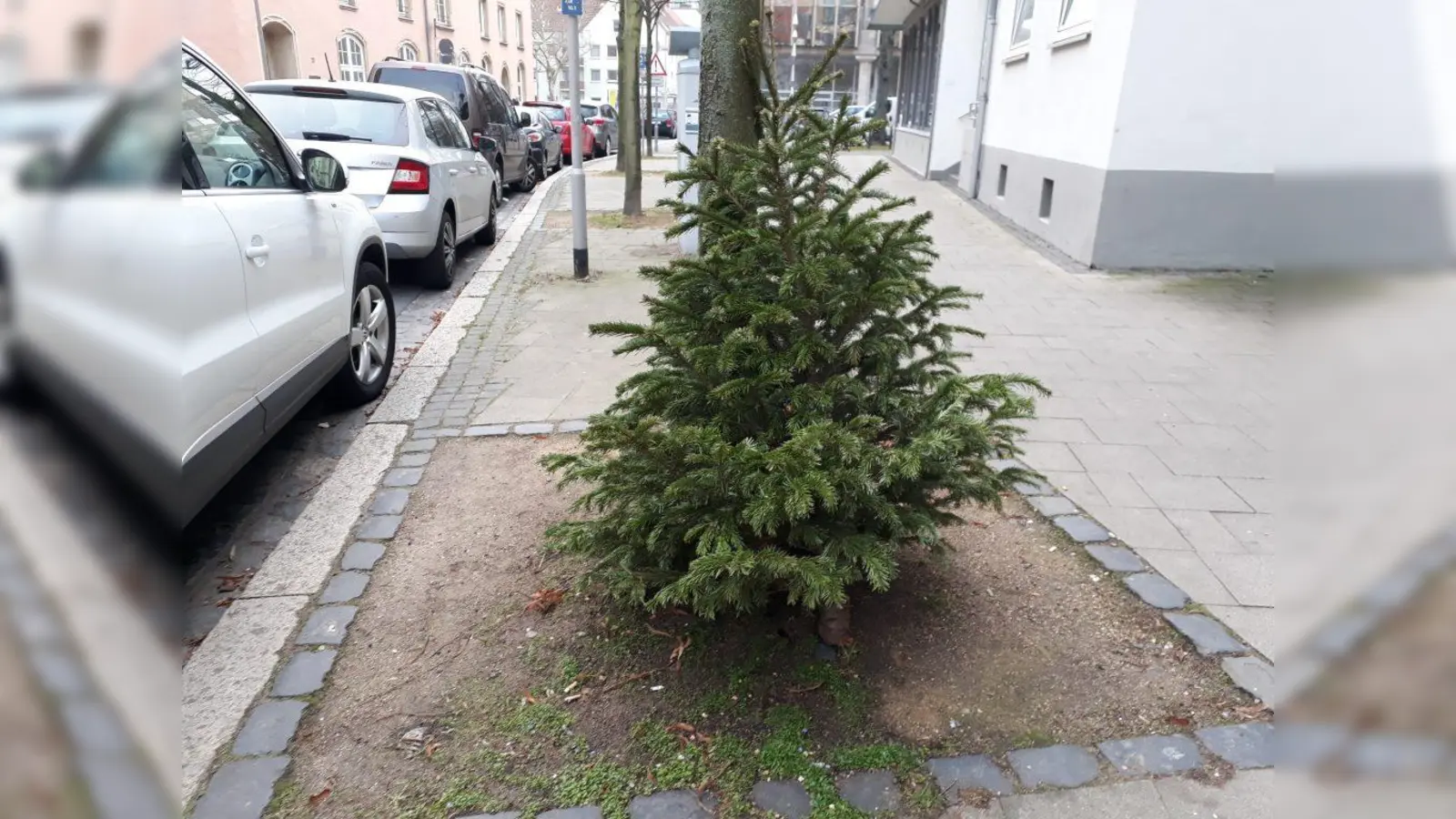 Den Baum bitte abgeschmückt und gut sichtbar vor der Tür legen. (Foto: Radio38)
