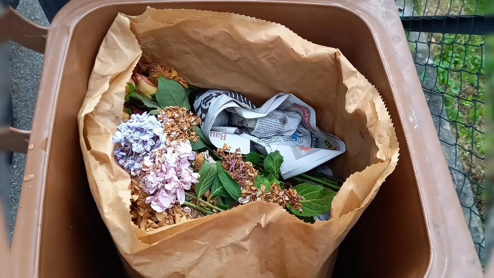 Biotonne mit Papiertüte, Plastiktüten gehören nicht in den Biomüll.  (Foto: LA Dachau / Kommunale Abfallwirtschaft)