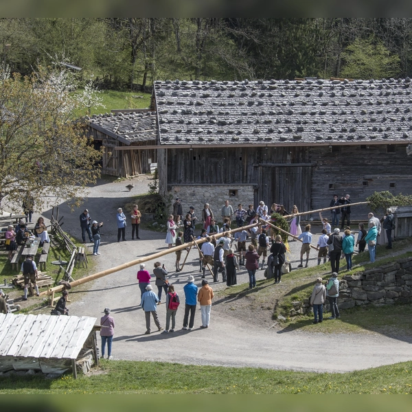 Noch liegt der Baum. (Foto: Markus Wasmeier)
