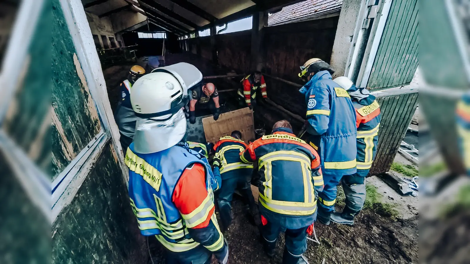 Beide Tiere konnten gerettet werden. (Foto: KBI Dachau)
