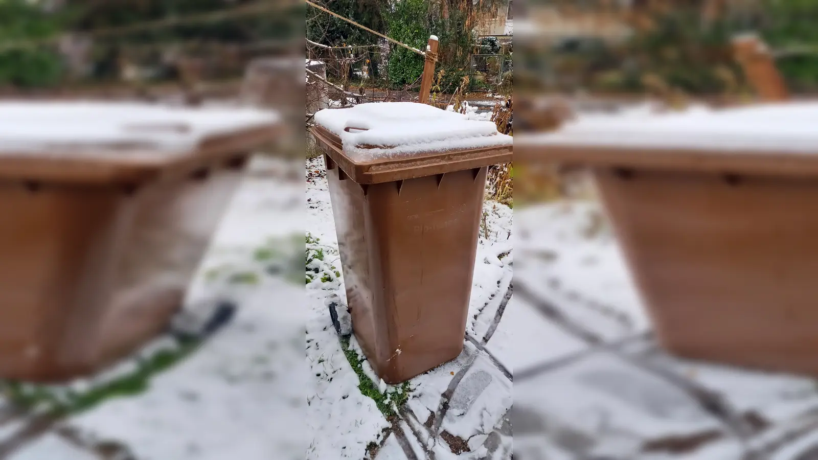 Feuchter Biomüll kann im Winter in der Tonne festfrieren. (Foto: Kommunale Abfallwirtschaft)