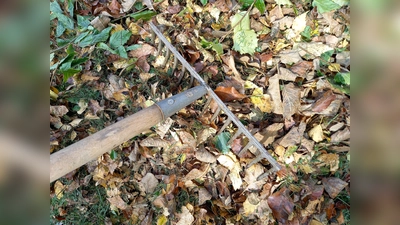 Herbstliches Laub im heimischen Garten.<br> (Foto: Barbara Mühlbauer-Talbi)