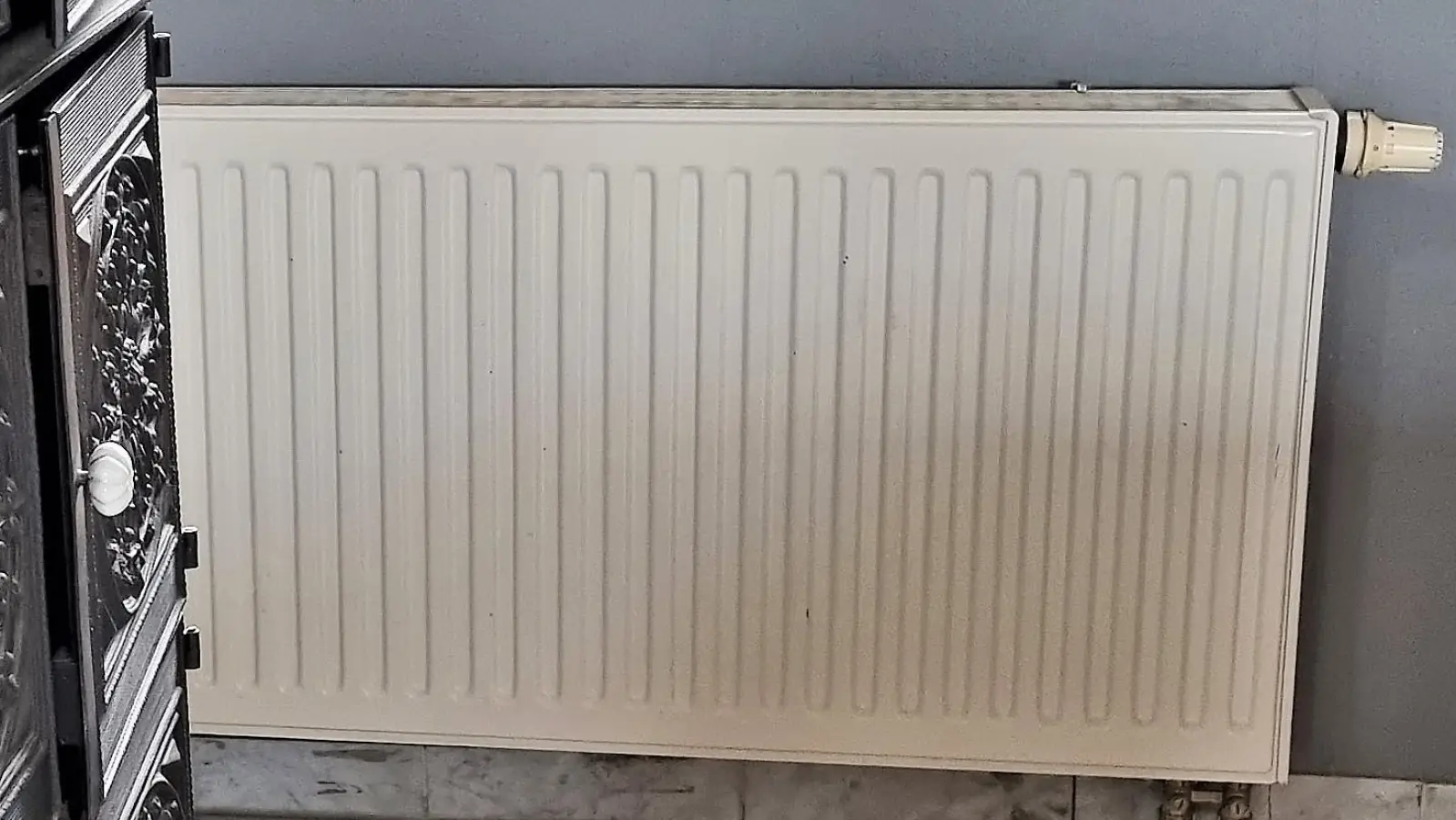 Beim Webinar am 5. Juli dreht sich alles um Wärme und Heizen. (Foto: Christl Horner-Kreisl)