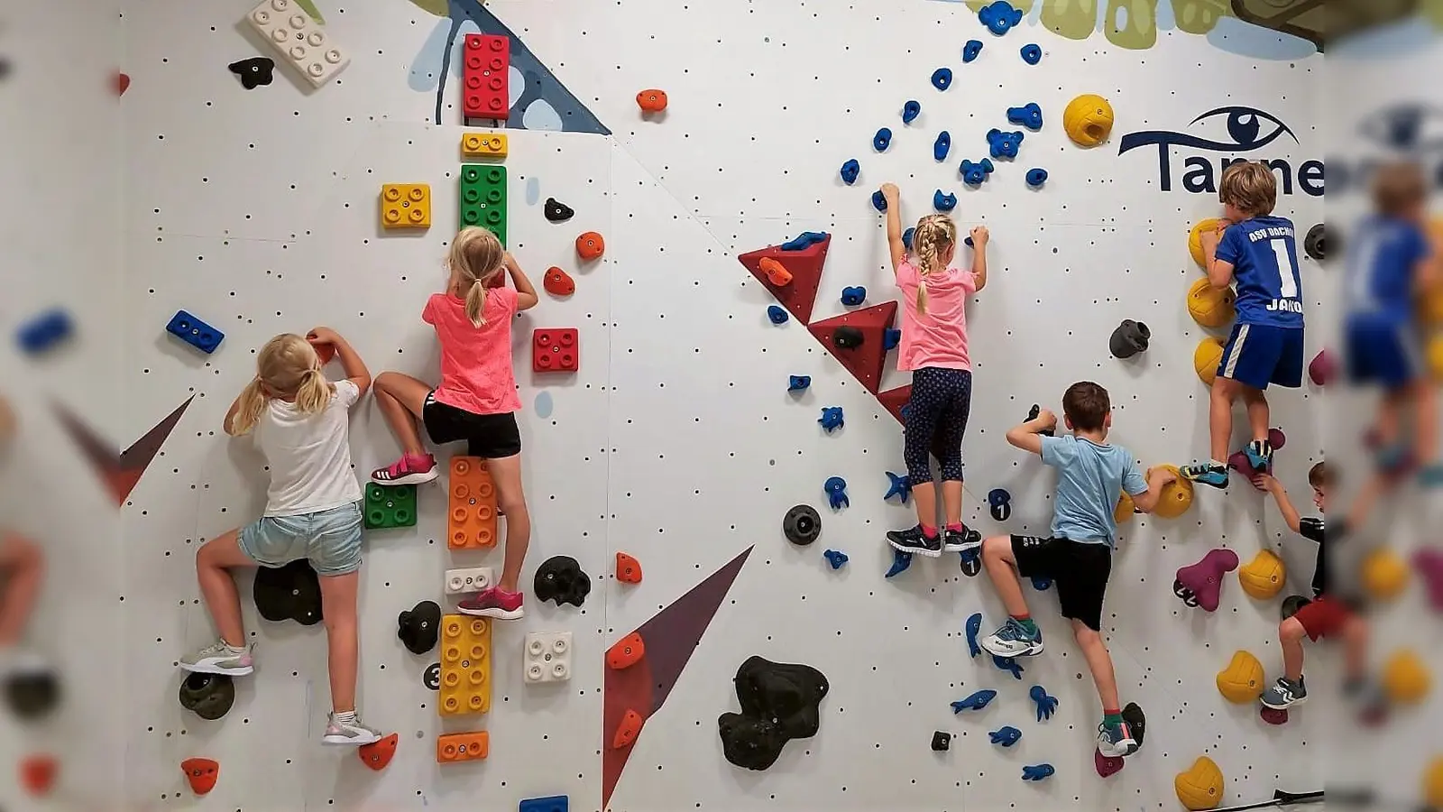 Die Vorschüler aus dem Purzelbaum bezwangen mutig die Kletterwand. (Foto: Stadt Dachau)