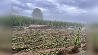 Wie schnell Starkregen Flächen zerstören kann, hat sich heuer bei Arnbach gezeigt. (Foto: LBV)