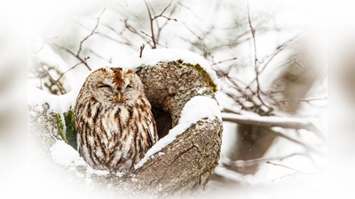 srzj (Foto: Manfred Kühn )