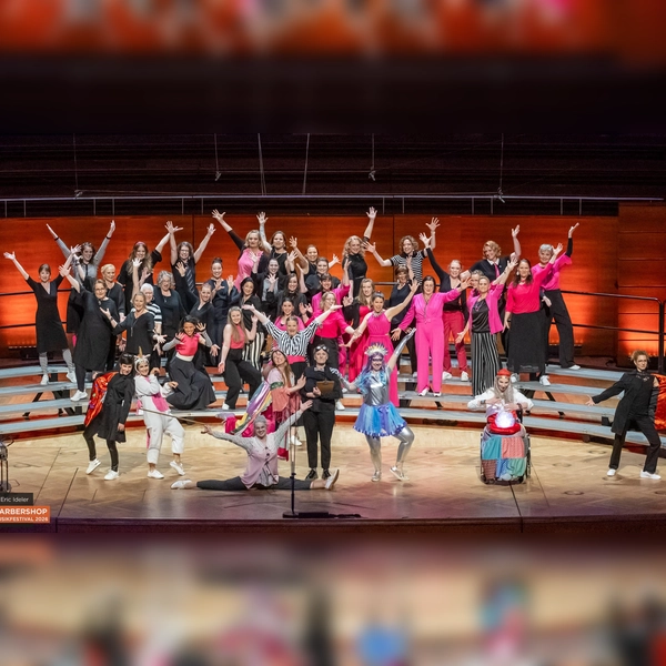 Die A Cappella Company belegte beim Barbershop Musikfestival in Wuppertal den sechsten Platz. (Foto: Eric Ideler)